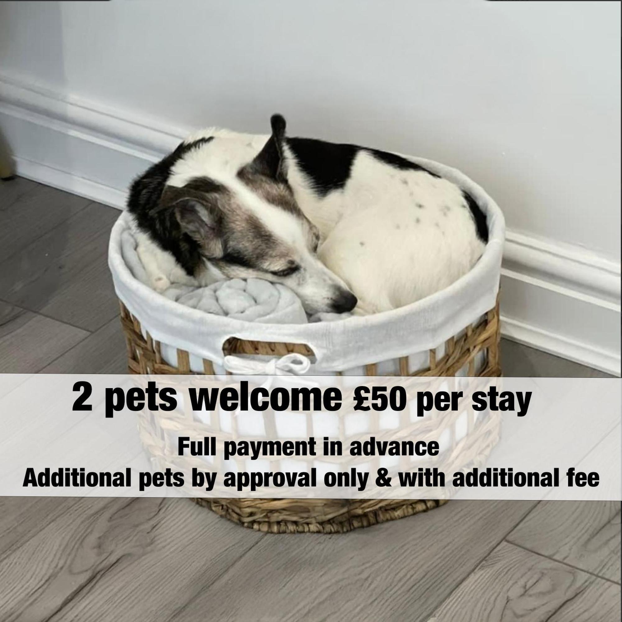 Emerald Delightful Suite Moseley Mews, Birmingham By Staystaycations Eksteriør bilde